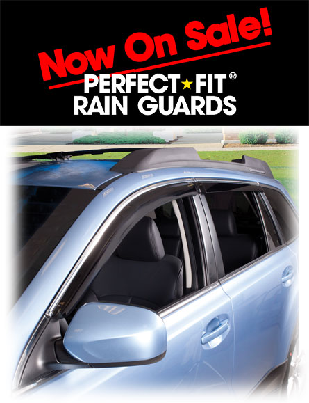 Window Visor Rain Guards